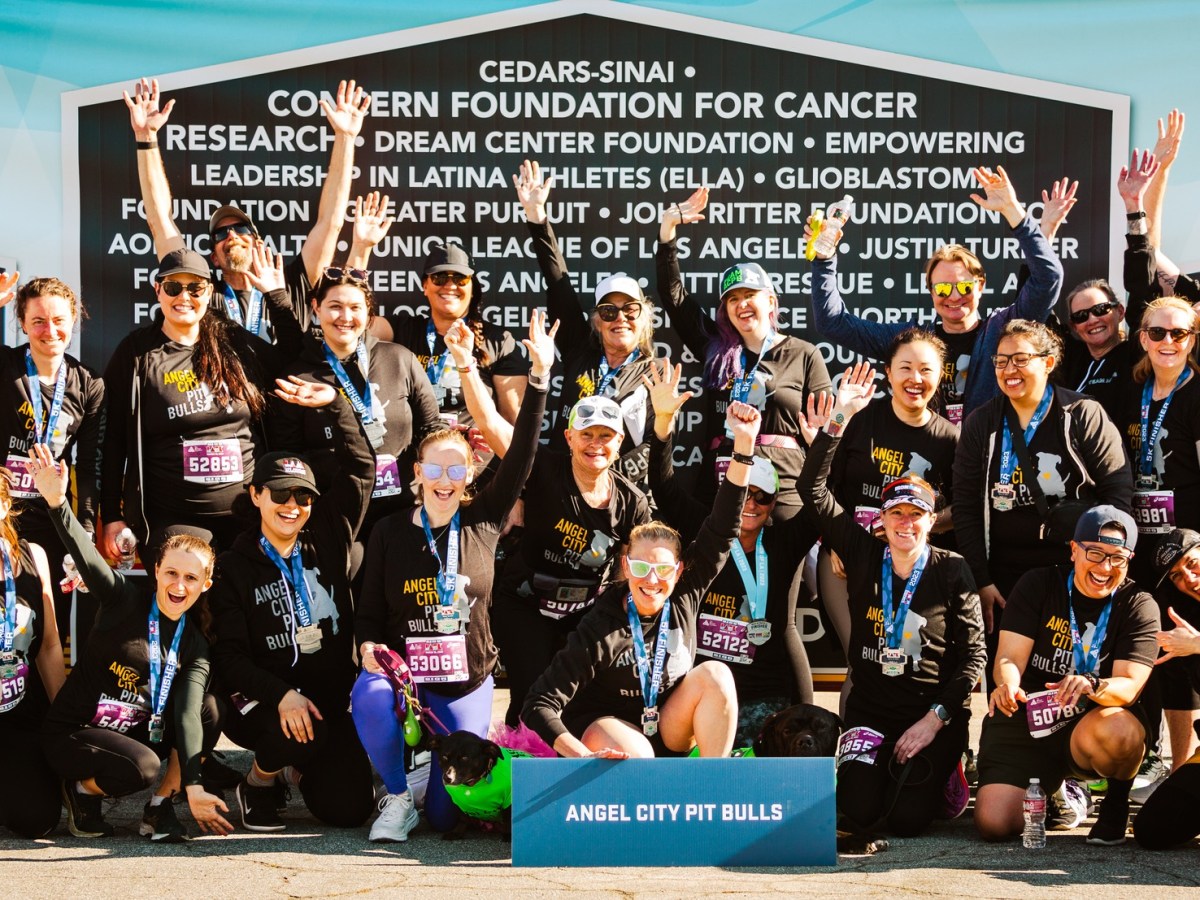 Making Strides for Angel City Pit Bulls: A Recap of Our Successful 5K&nbsp;Fundraiser
