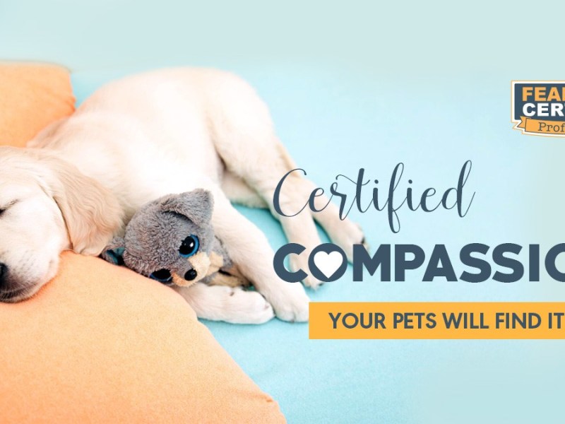 Fear Free Pet Sitting Now Available for San Pedro & Palos Verdes&nbsp;Pets